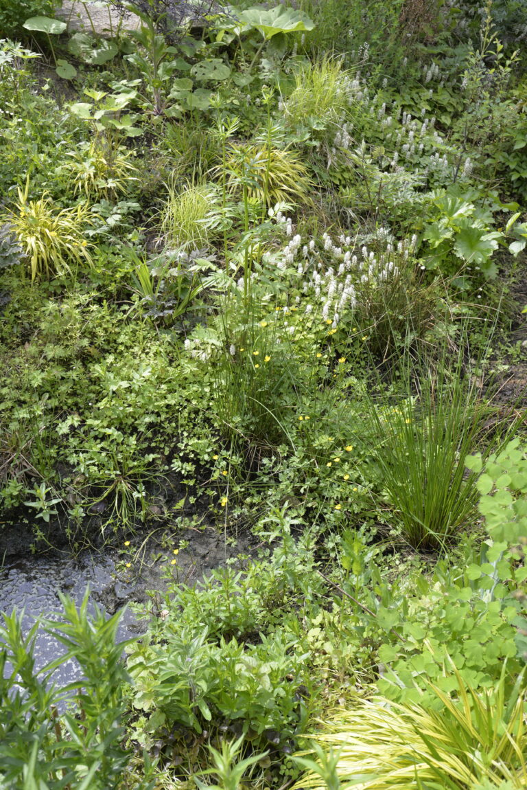 natuurlijke tuin voorbeeld Bloeiwijs eigen tuinontwerp en tuinaanleg