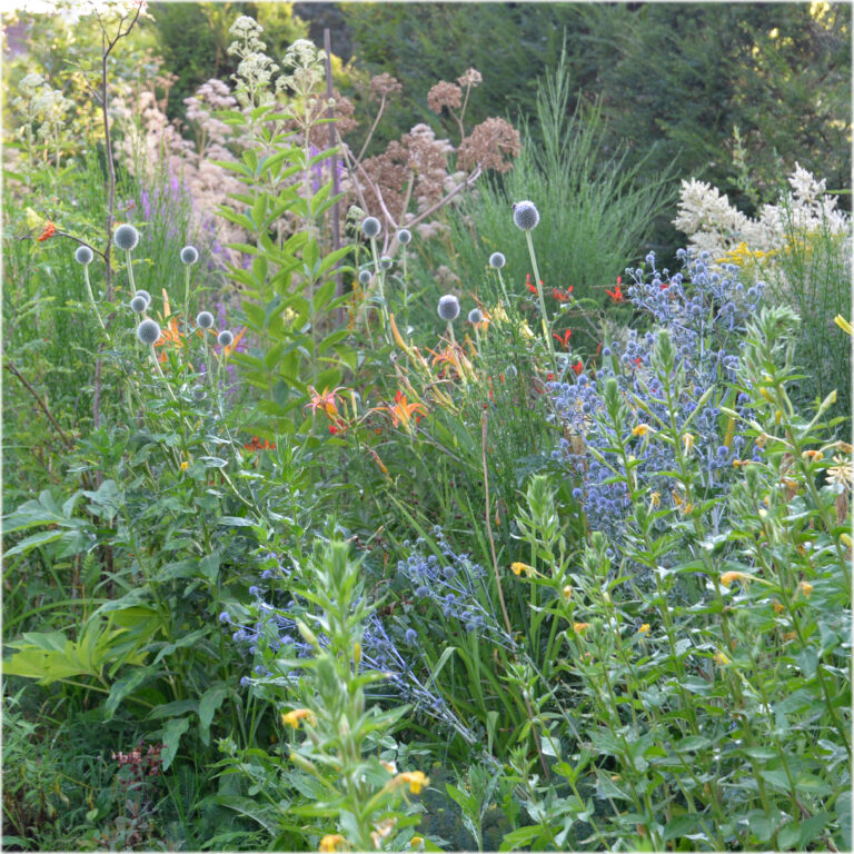 natuurlijke tuin voorbeeld Bloeiwijs eigen tuinontwerp en tuinaanleg